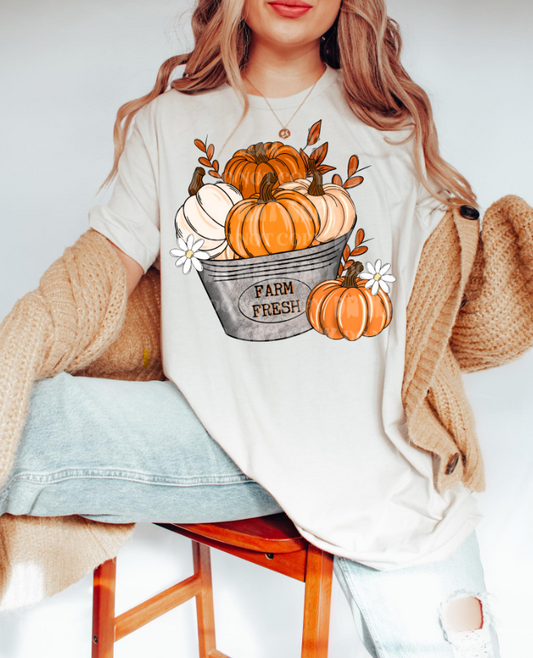 Fall fresh pumpkin T shirt